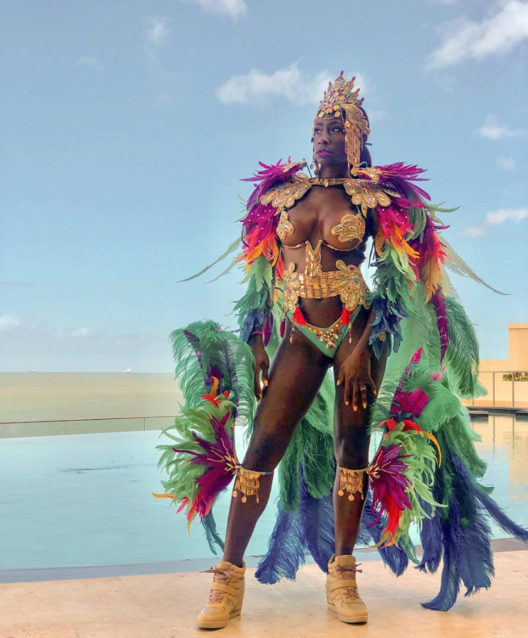 2019carnival.nickay